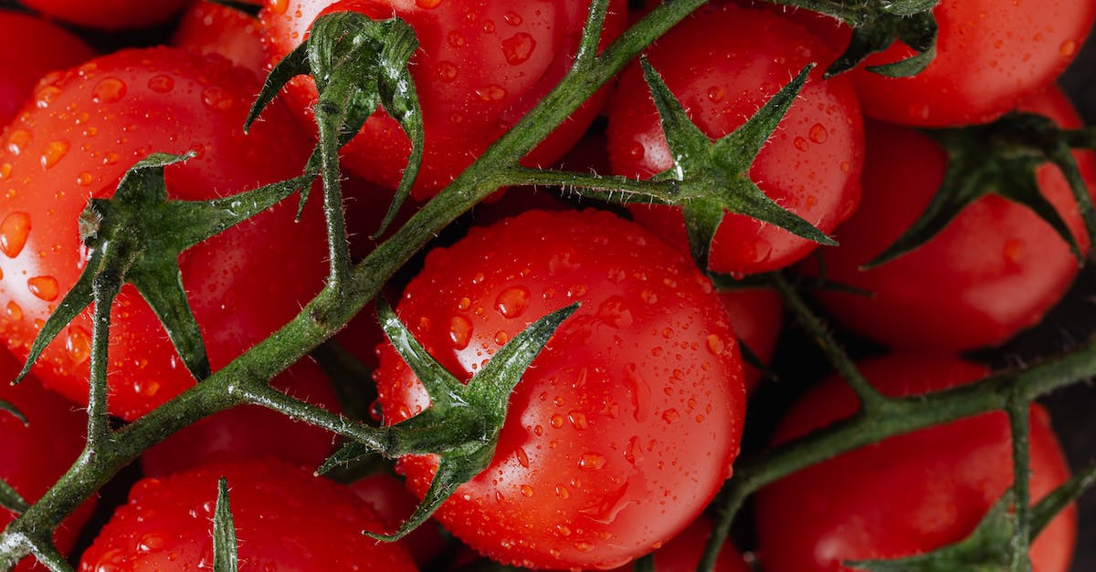 Being safe in an unknown place [closed] - Fresh ripe red tomatoes with water drops