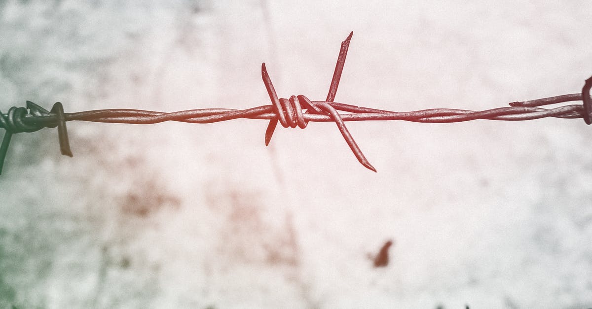 Belarus-Russia border closed to foreigners - Shallow Focus Photography of Brown Barbed Wire