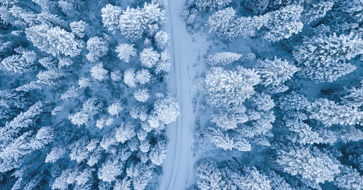 Belgium, road closure A11? [closed] - Aerial Photography of Snow Covered Trees