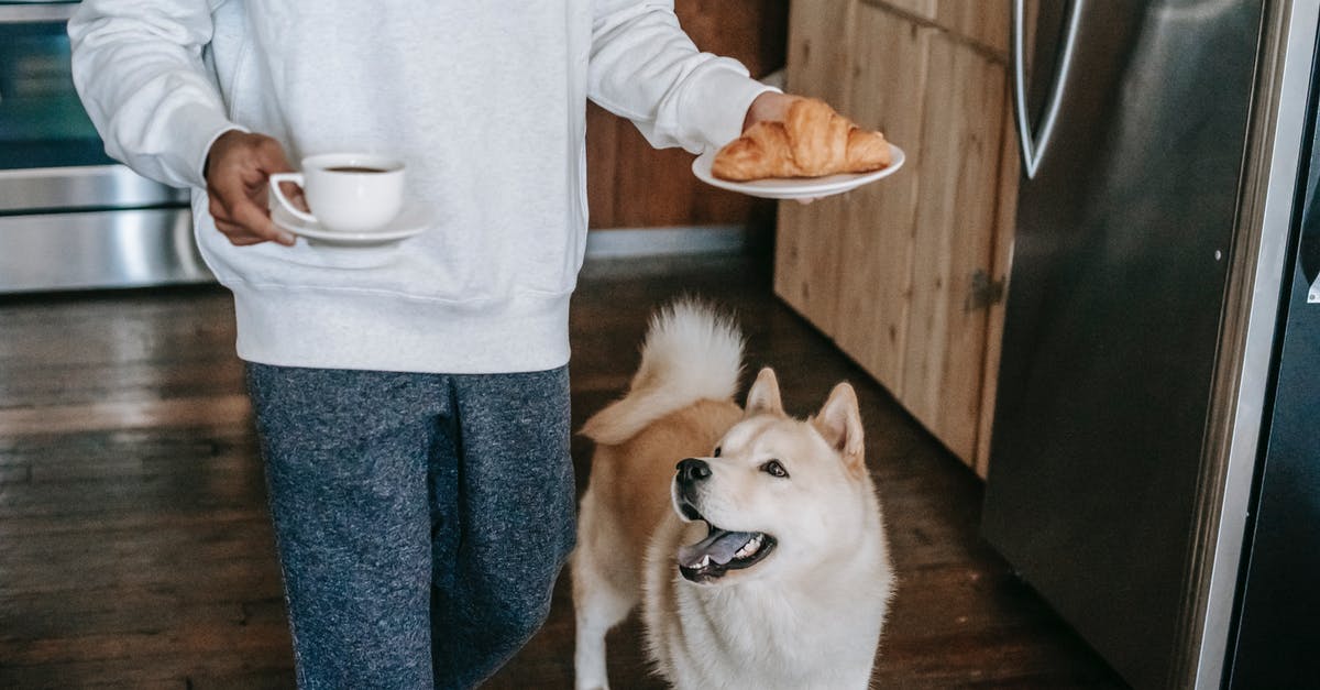 Best food souvenirs from Beijing to bring to my Japanese friends? - Crop faceless young male owner in casual clothes walking in kitchen near curious Akita Inu dog with coffee cup and plate with croissant in hands