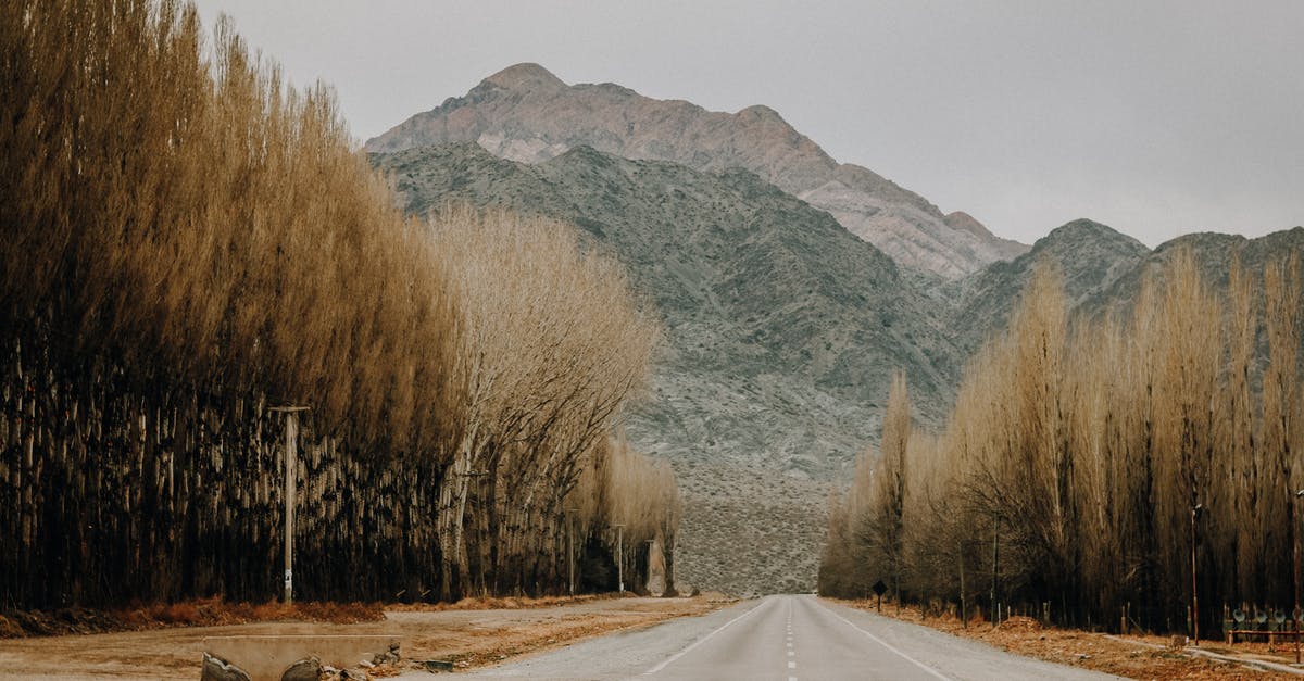 Best road route from Córdoba to Mendoza, Argentina? - Straight empty asphalt road going through forest with leafless trees towards mountains against cloudy sky in autumn