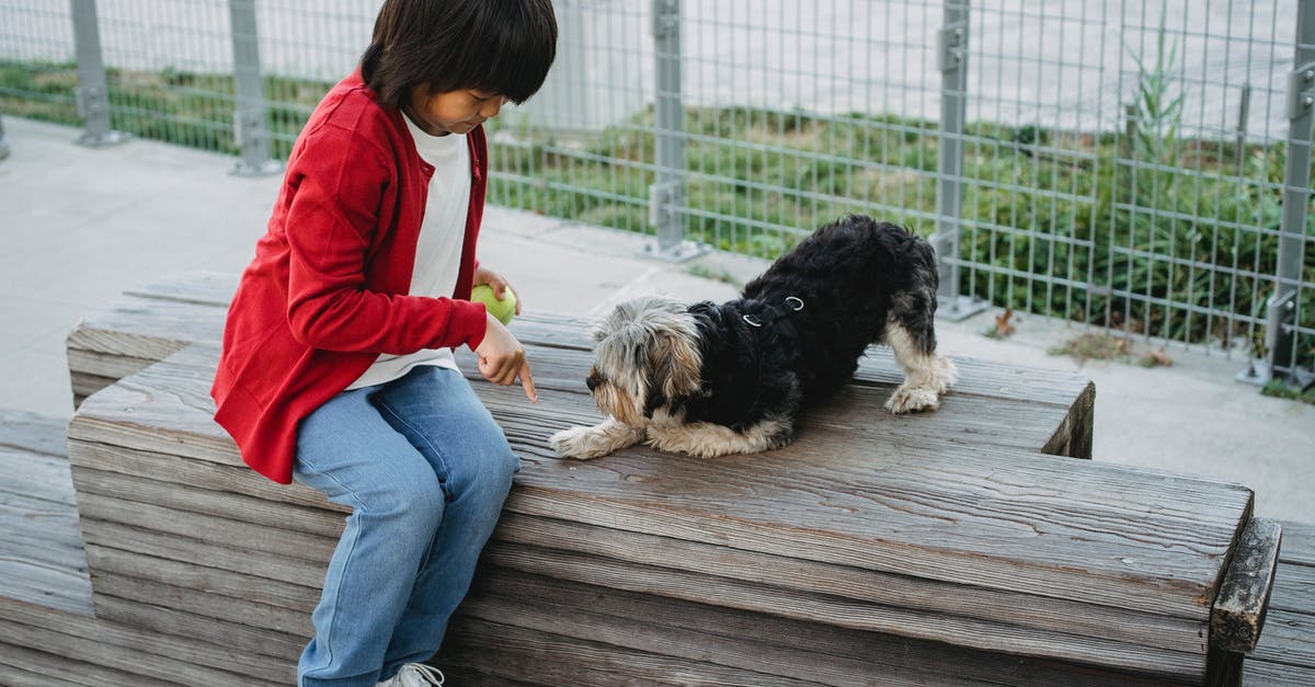 Boarding Point in train [duplicate] - From above of Asian child pointing with finger at platform while training intelligent dog in town