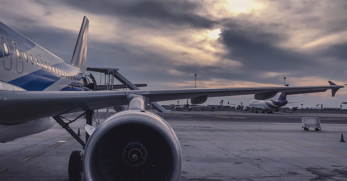 Booking a flight in the airport right before departure - Gray Airliner