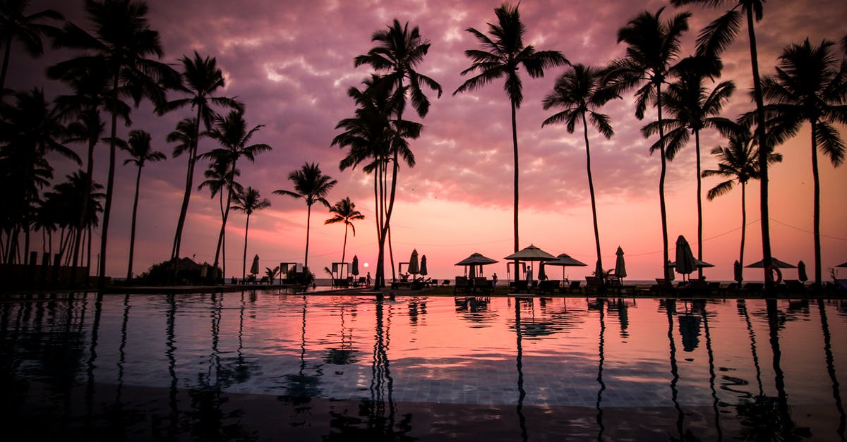 Booking a hotel for unusual hours - Coconut Palm Tress Beside Calm Lake Silhouette