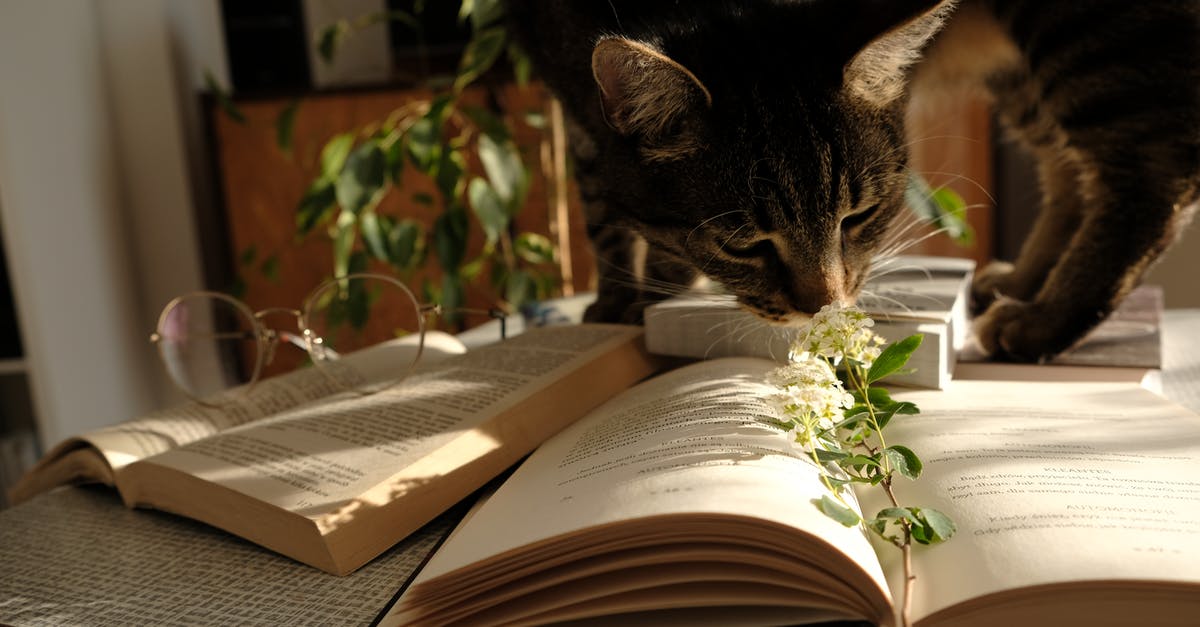 Booking domestic flights in Iran - Photo of Cat Standing on Top of a Book