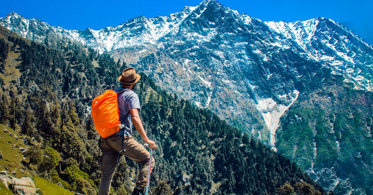 Booking Kilimanjaro Trek in advance? - Man Wearing Blue Shirt Standing on Cliff While Watching Mountain