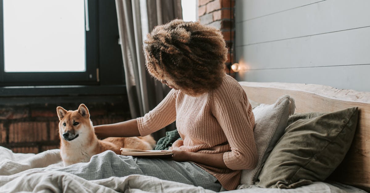 Booking Roomettes on Amtrak - Free stock photo of adult, at home, bed