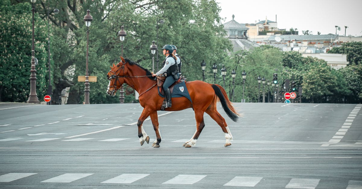 Border control officer asking questions on leaving Canada - Anonymous people crossing street on horses