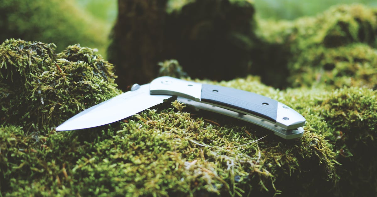 Bringing a camping knife to Japan - Gray and Black Folding Pocket Knife