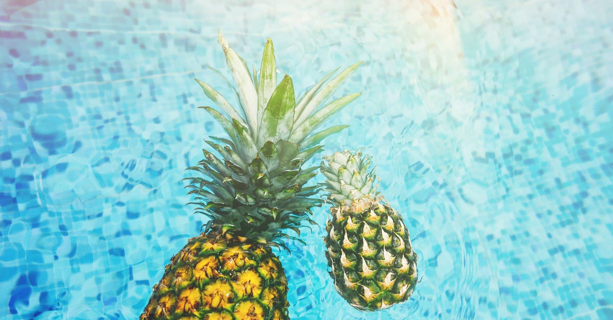 Bringing foods from Mexico to UK - Two Pineapples on Body of Water