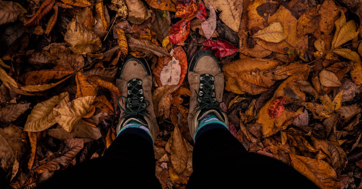 Bringing hiking shoes with dirt/soil to the US? - Person in Black Pants and Brown Hiking Shoes Standing on Dried Leaves