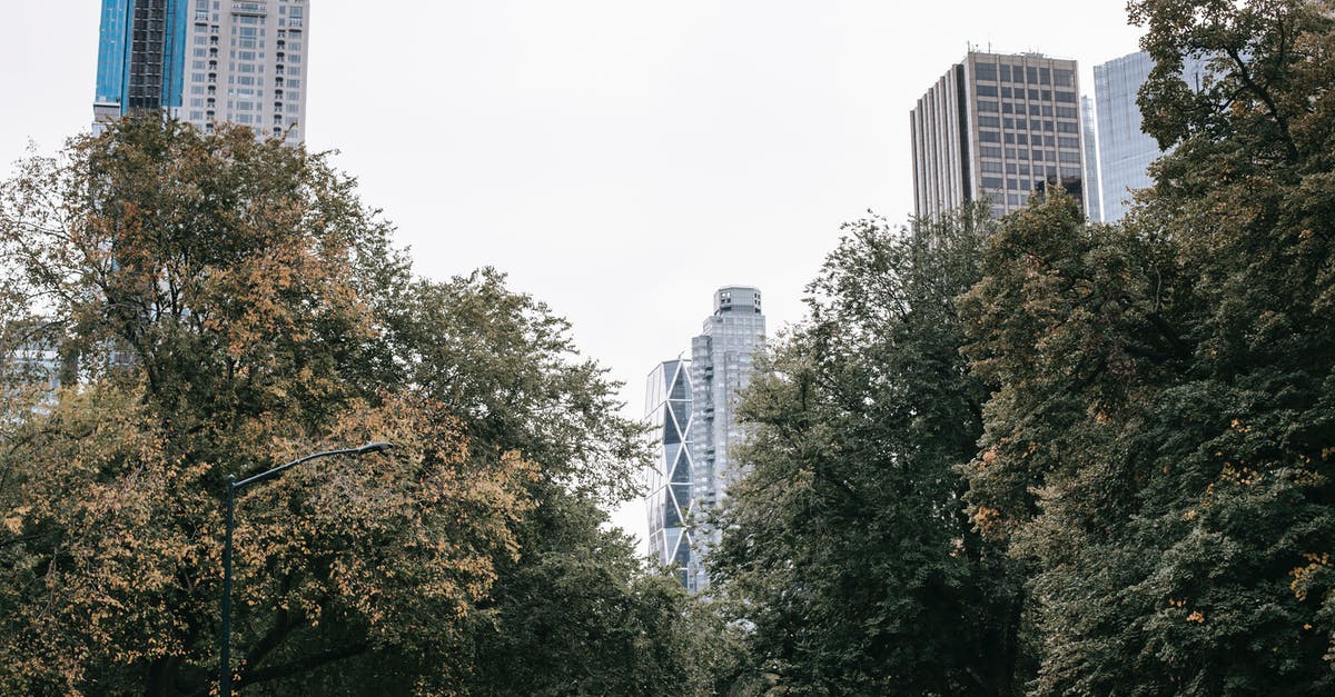 Bringing plants on a plane from US to Denmark - Greet trees growing in park of modern city