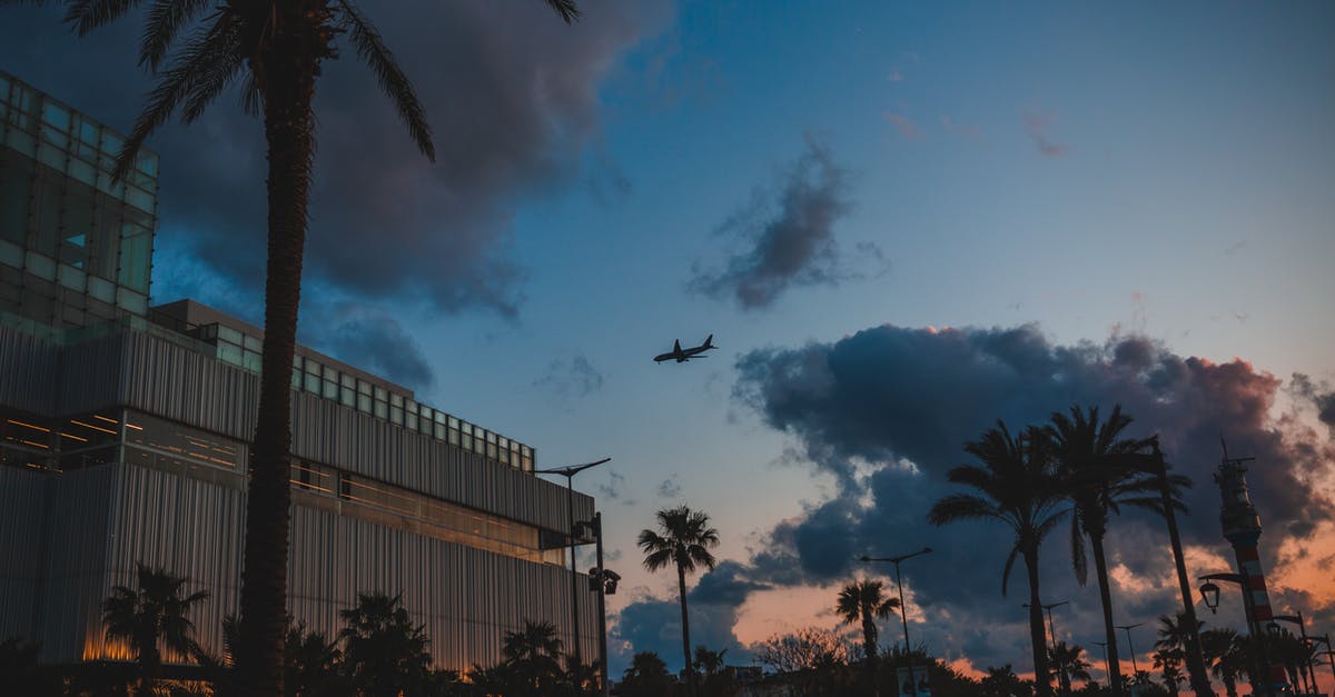 Bringing plants on a plane from US to Denmark - Town street with buildings and palms under sky with plane