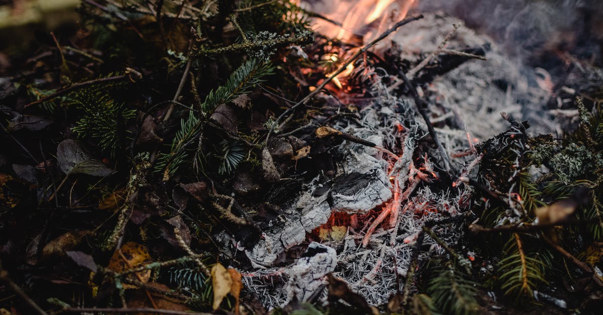 Bringing someone's ashes abroad [closed] - Close-up of Burning Branches