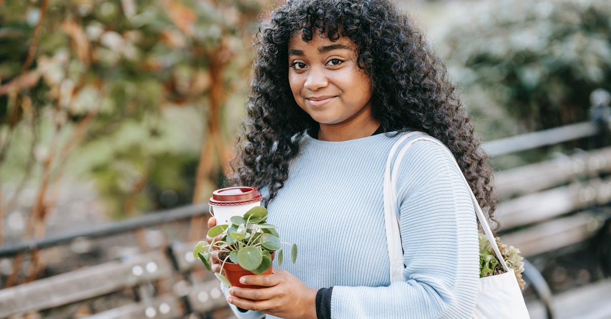 Bringing tea bags in zip lock bag to Korea? - Positive young black woman standing with shopping bag with greenery and takeaway drink with potted green plant in park near bench and shrubs in daytime while looking at camera