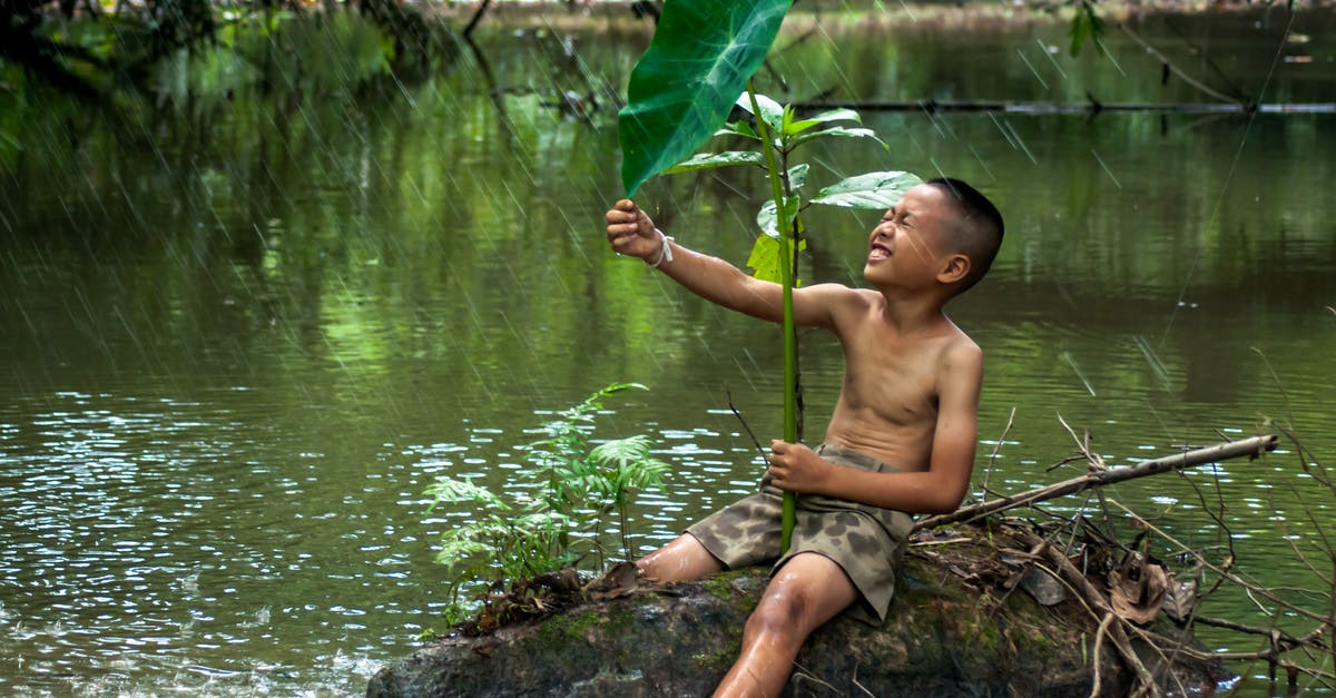 Bristol BRS airport free drop off/pick up? - Asian little boy in shorts sitting on stump in ponder squinting eyes with lotus leaf under rain