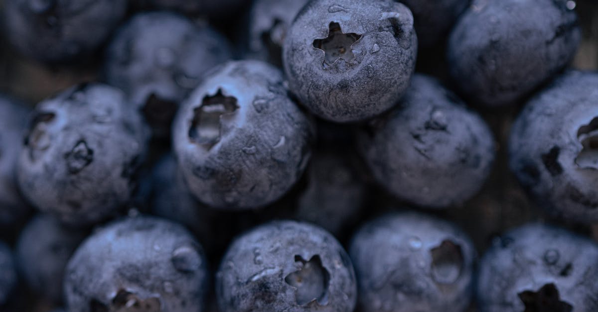 Bristol BRS airport free drop off/pick up? - Pile of ripe blueberries with droplets