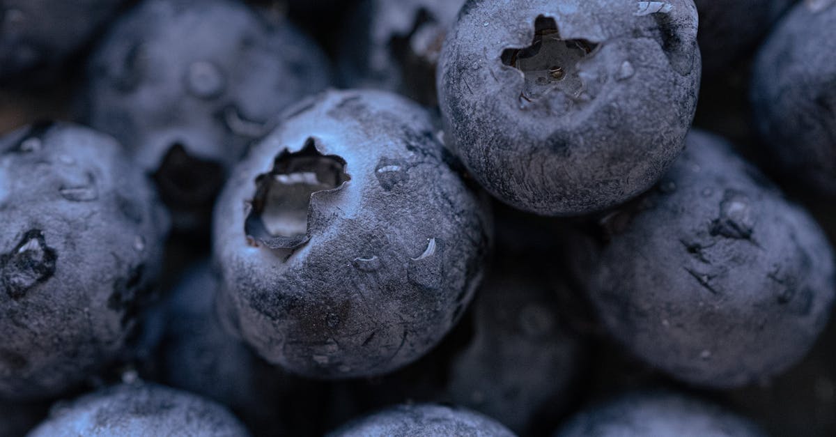 Bristol BRS airport free drop off/pick up? - Closeup heap of fresh blueberries covered with drops of water during harvesting season in countryside on summer day in nature