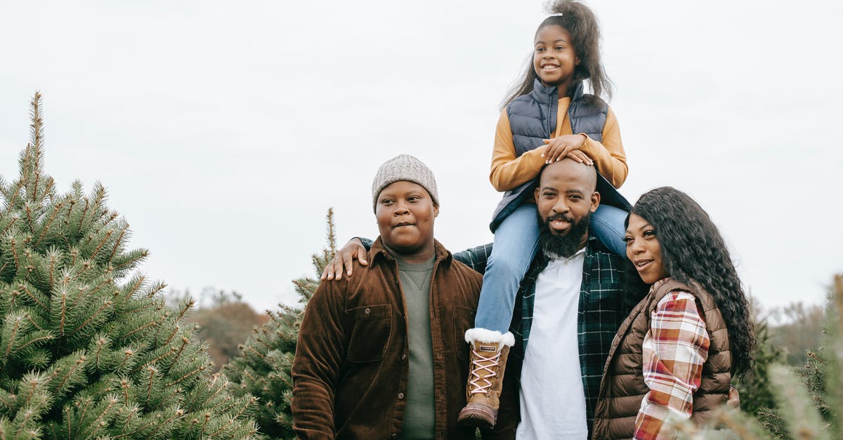 Budapest - New Year's Eve [closed] - Cheerful black family choosing fir tree together