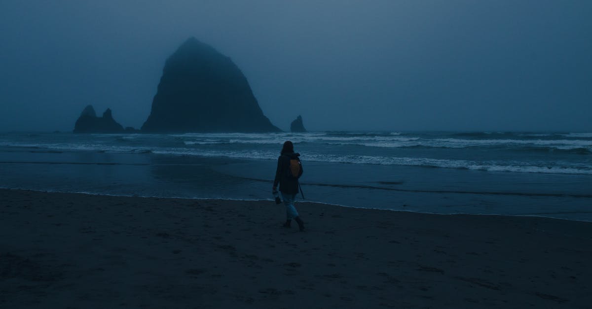 Bus between Cannon Beach, Oregon and Oswald West State Park - The Haystack Rock at the Cannon Beach in Oregon, USA