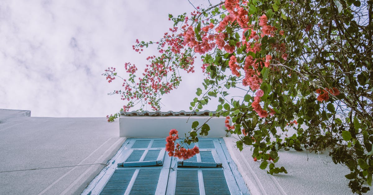 Buying a vacation home in the Eurozone [closed] - Old fashioned rural house and blossoming tree