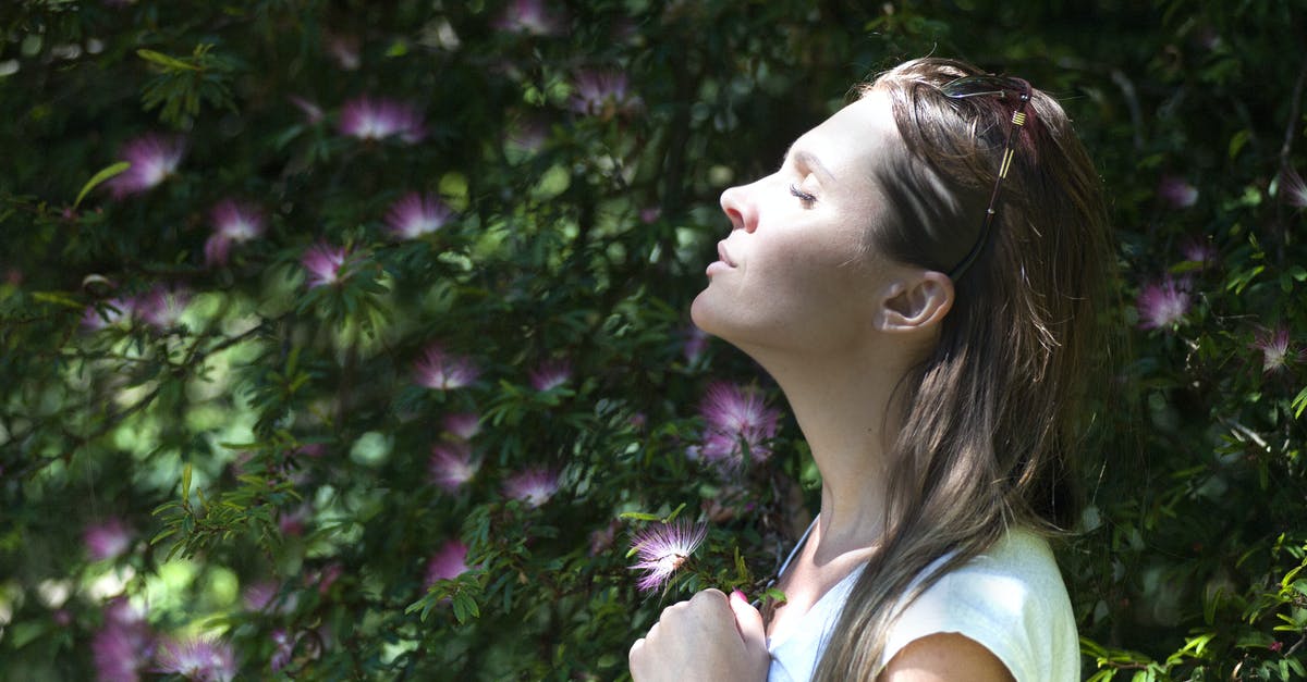 Buying air tickets for 5 people - Woman Closing Her Eyes Against Sun Light Standing Near Purple Petaled Flower Plant