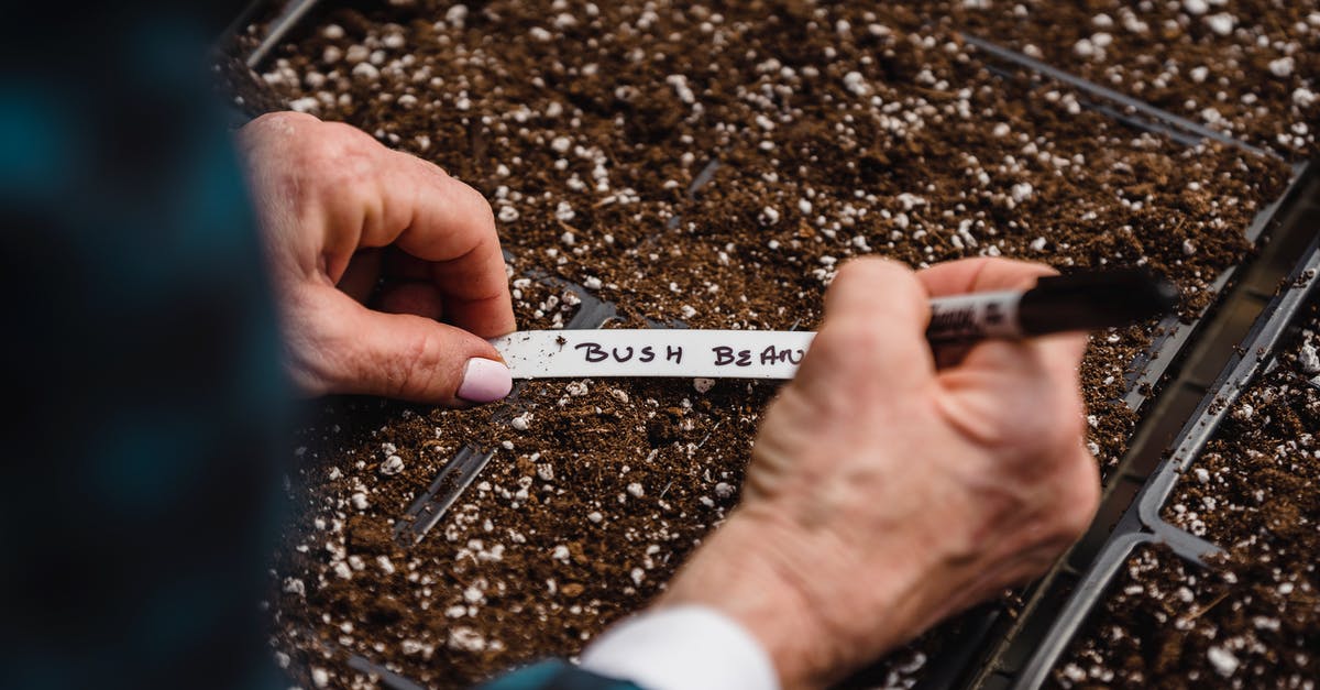 Buying Crit'air environment badge at short notice - Anonymous farmer taking notes on soil with seed