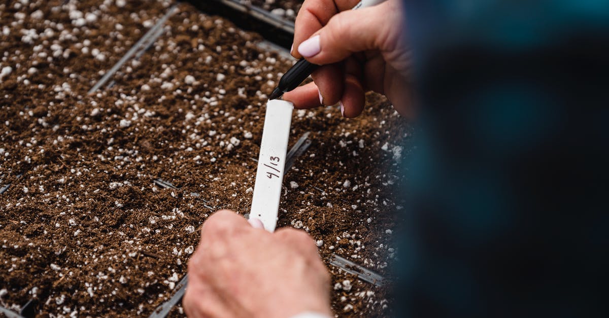 Buying Crit'air environment badge at short notice - Unrecognizable gardener writing note near planting seeds