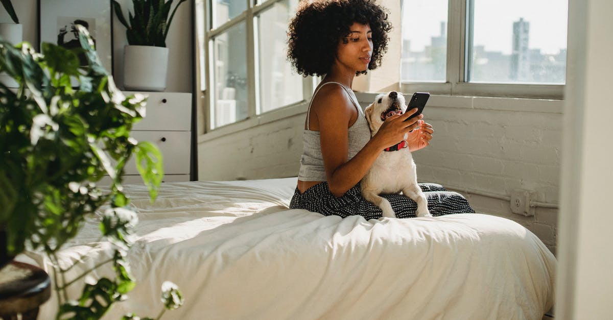 Buying domestic flights in India online - Side view of young ethnic female watching cellphone while sitting on bed with dog at home