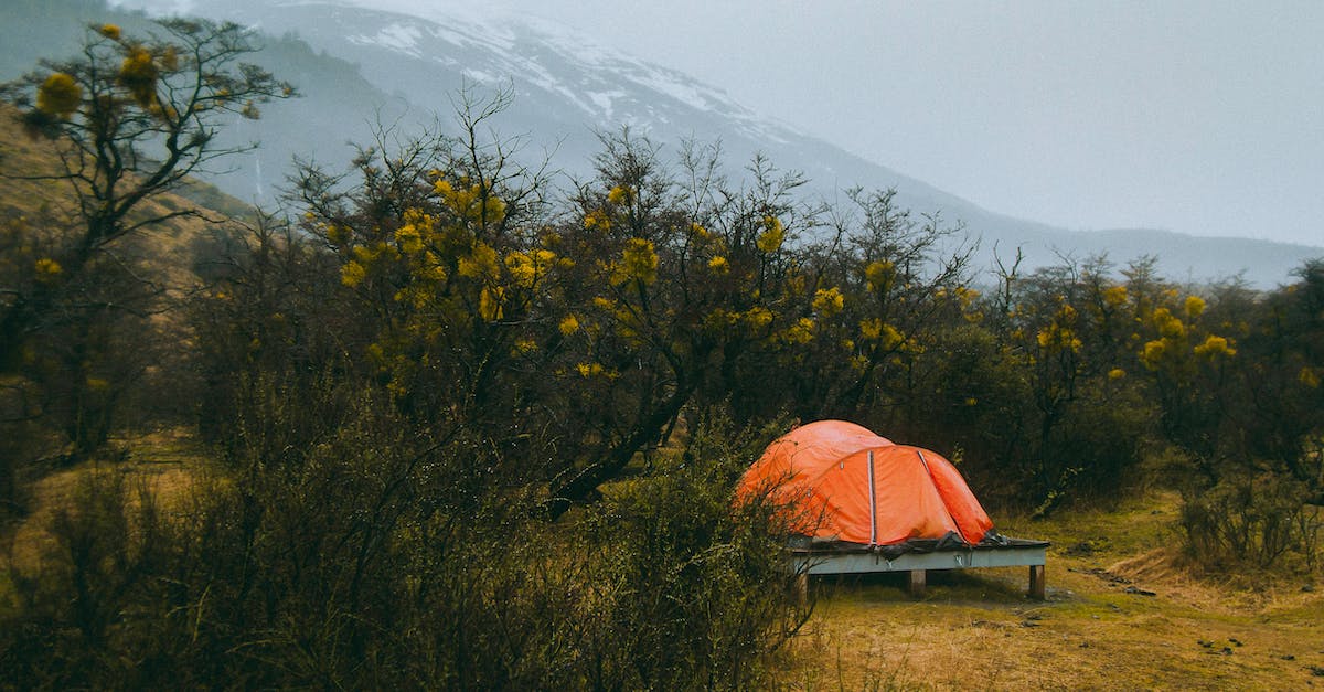 Camping in national parks in Sri Lanka - Photo of Tent Surrounded by Plants