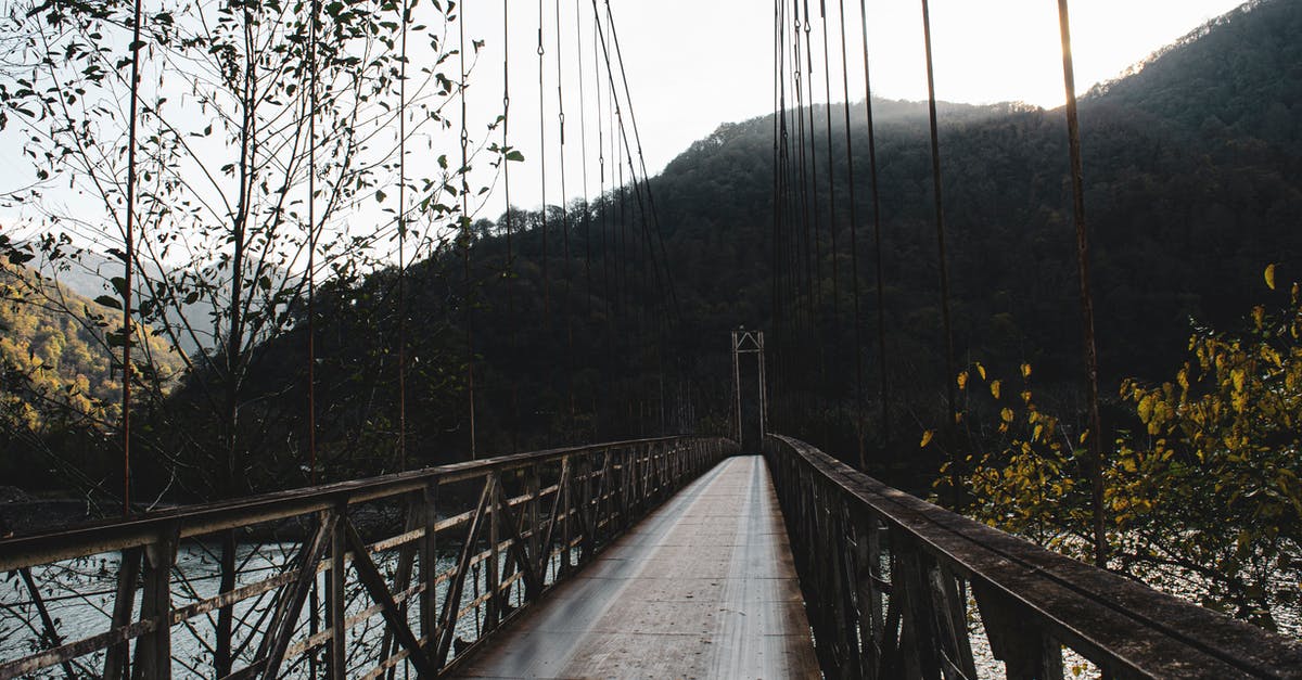 Campsite in Zugspitze area - Brown Wooden Bridge in Forest