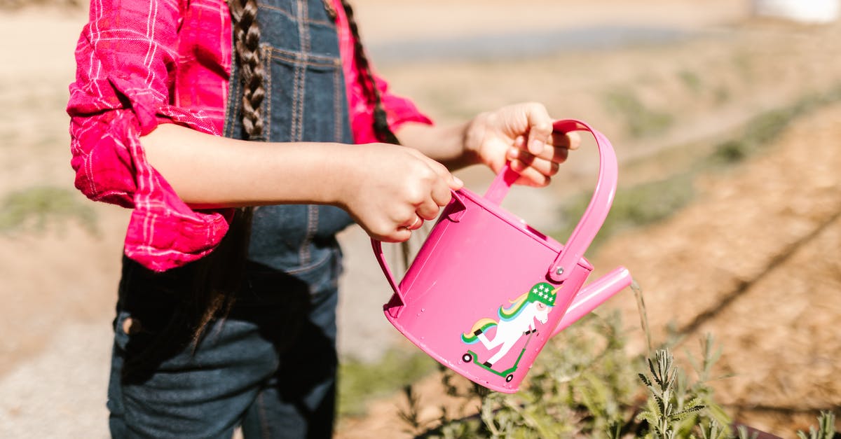 Can a child still visit the cockpit during flight? - Free stock photo of agriculture, bucket, child