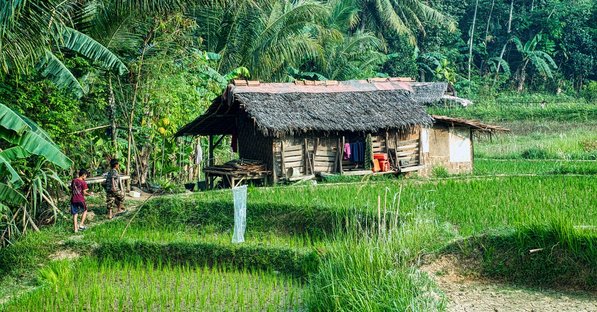 Can a child with accompanied visa travel back to home country with mother - Two People Walking Towards A Nipa Hut In The Rice Fields Surrounded By Thick Vegetation Can a child with accompanied visa travel back to home country with mother - Two People Walking Towards A Nipa Hut In The Rice Fields Surrounded By Thick Vegetation