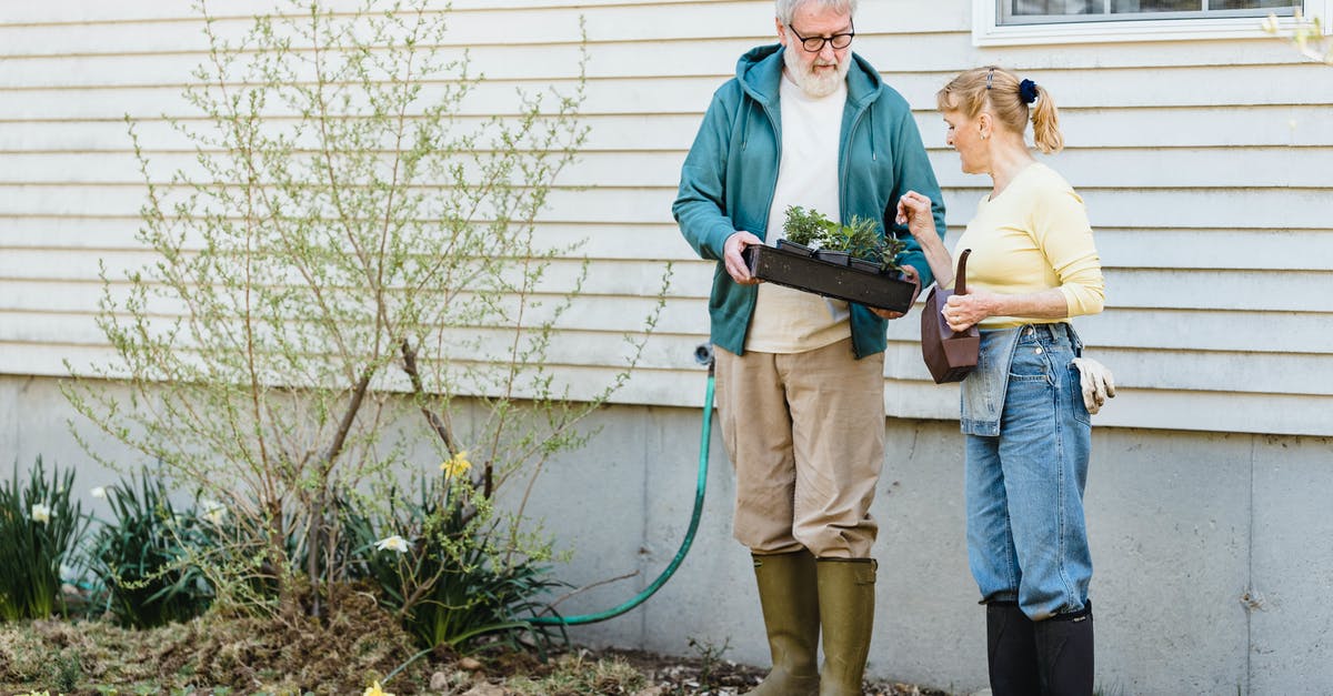 Can a husband and wife combine their UK Standard Visitor visa applications? - Full length of senior male showing box with seedlings to wife while standing near wooden house in rain boots