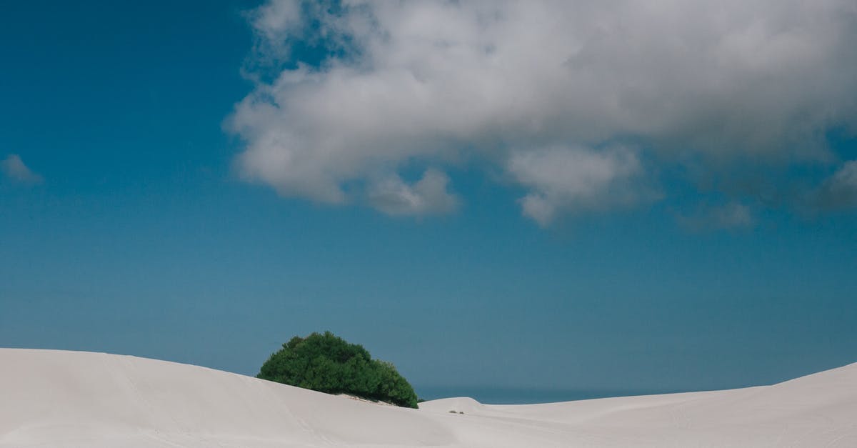 Can a Malaysian citizen enter the Schengen area a day earlier than their visa-free date? [duplicate] - Lonely tree in desert in sunny day