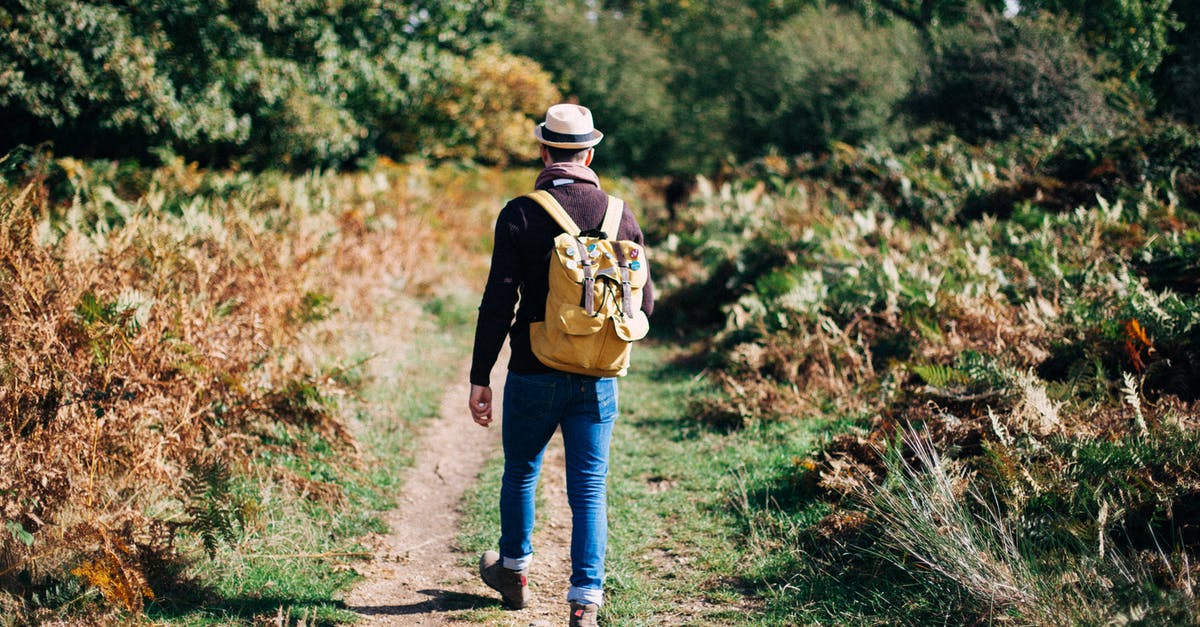 Can a normal backpacker obtain a multiple-entry Chinese visa while on the road? - Man Walking on Road Surrounded by Trees