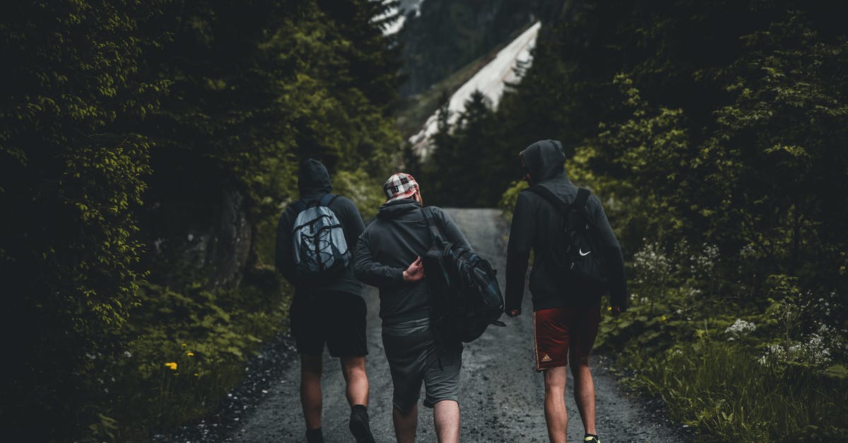 Can a normal backpacker obtain a multiple-entry Chinese visa while on the road? - Three Men Walking on Road Between Tall Trees