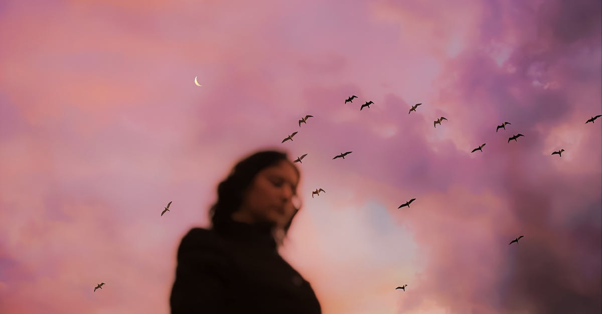 Can a person fly to the Moon as a tourist? - Birds Flying Under a Pink Sky