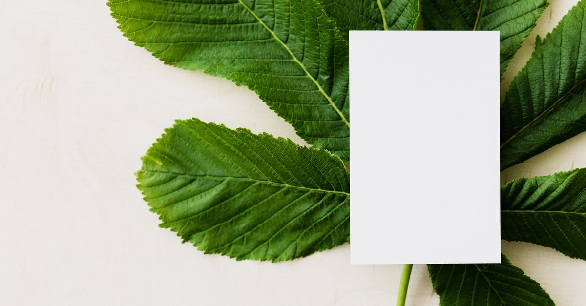 Can a Thai citizen with US green card visit Canada? [duplicate] - Overhead view of blank greeting card placed on green chestnut tree leaf on light background