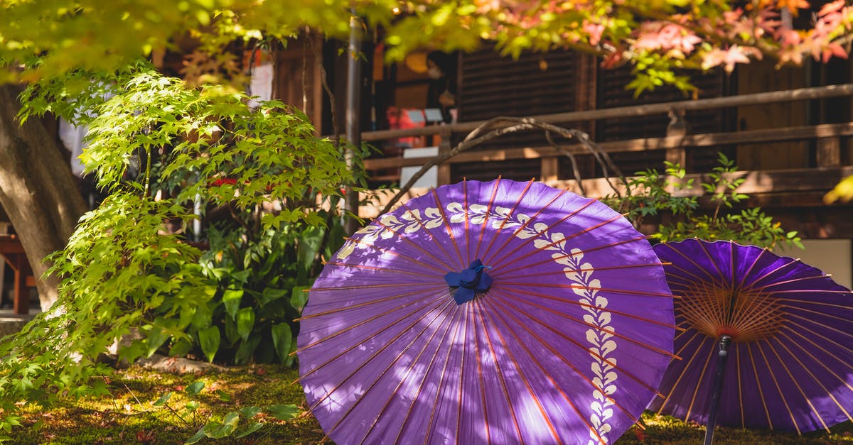 Can an Indian National Travel to Shenzhen with a Chinese Visa? - Lilac umbrella in garden near house