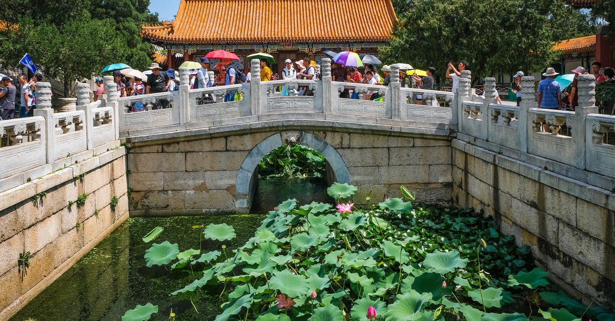 Can Chinese citizens currently leave China for tourism? - Photo of People Near Pond With Water Lilies