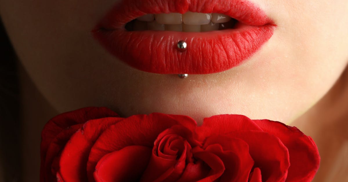 Can I bring a large metal rose on a plane? - Woman Wearing Red Lipstick Near Red Rose