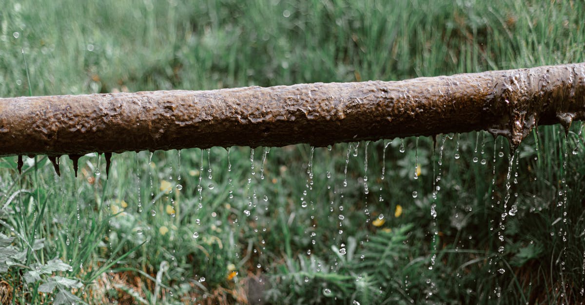 Can I bring a large metal rose on a plane? - Rusted metal leaking pipe above grassy meadow