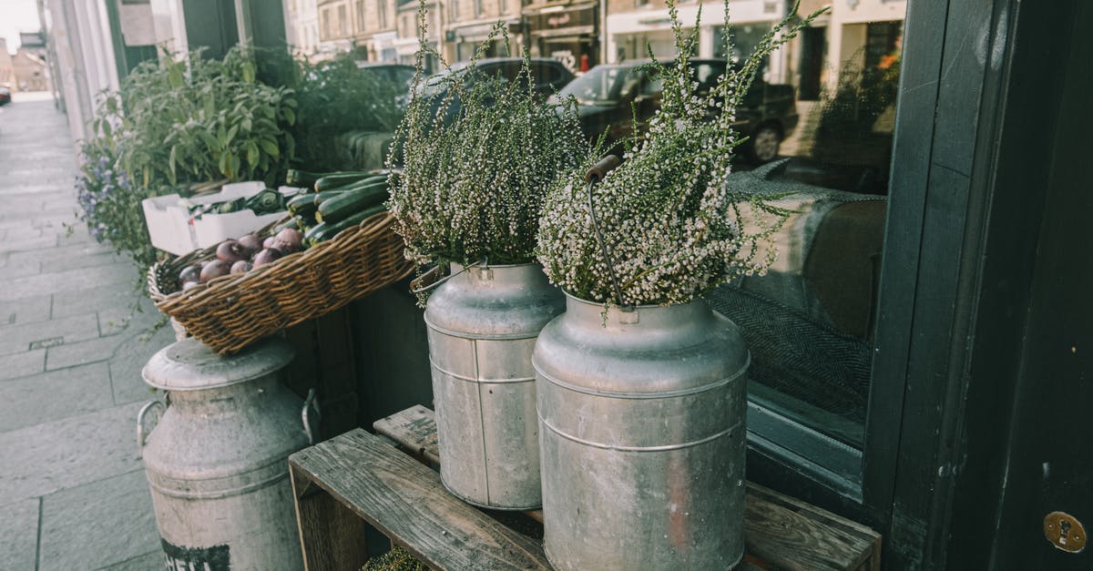 Can I bring an 18x6x6 inch Metal Box on Flight? - Decorative metal cans with small flowers placed on walkway on wooden box near window of modern house on street in city