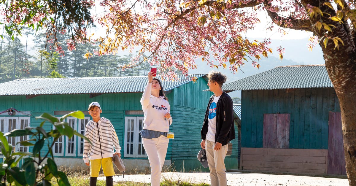 Can I bring nicotine patches for personal use into Australia? - Unrecognizable female taking photo of blossoming tree on cellphone while standing near man and boy behind old wooden house in countryside in sunlight