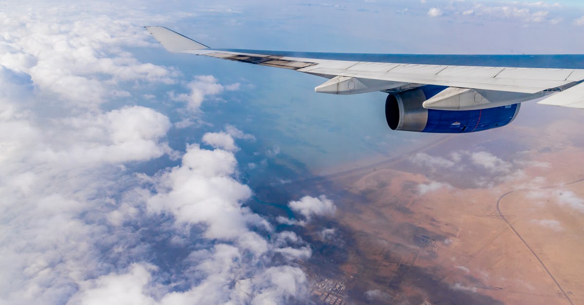 Can I bring this metal gift by airplane to Australia? - Airplane Wing at Flight