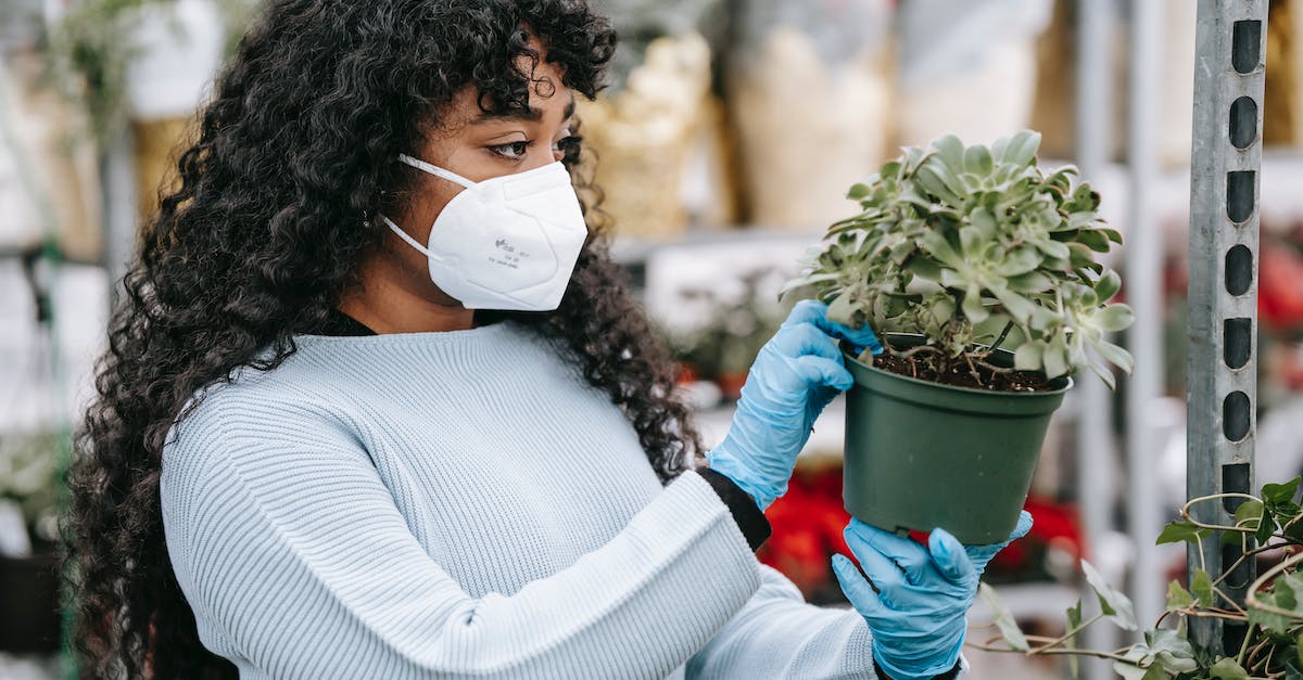 Can I buy malaria medication in India? - Black woman in medical mask examining potted echeveria