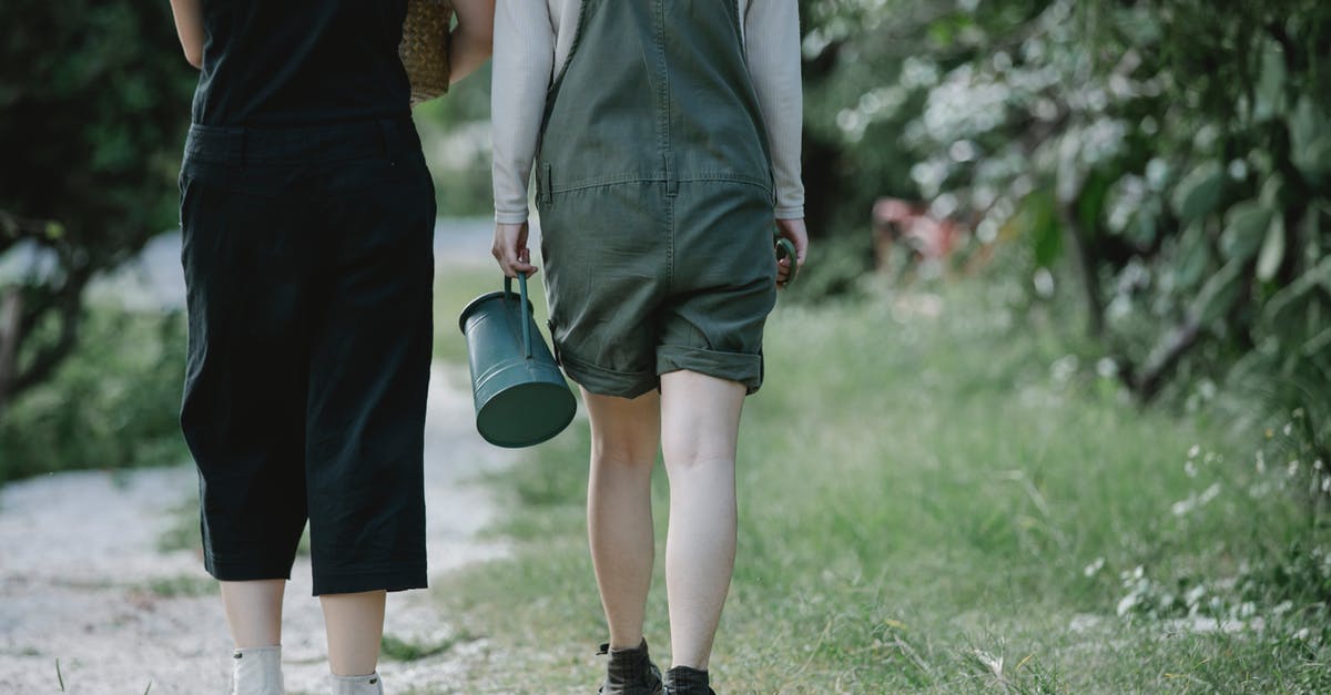 Can I carry a non-mercury thermometer on plane? - Female gardeners strolling on path in park