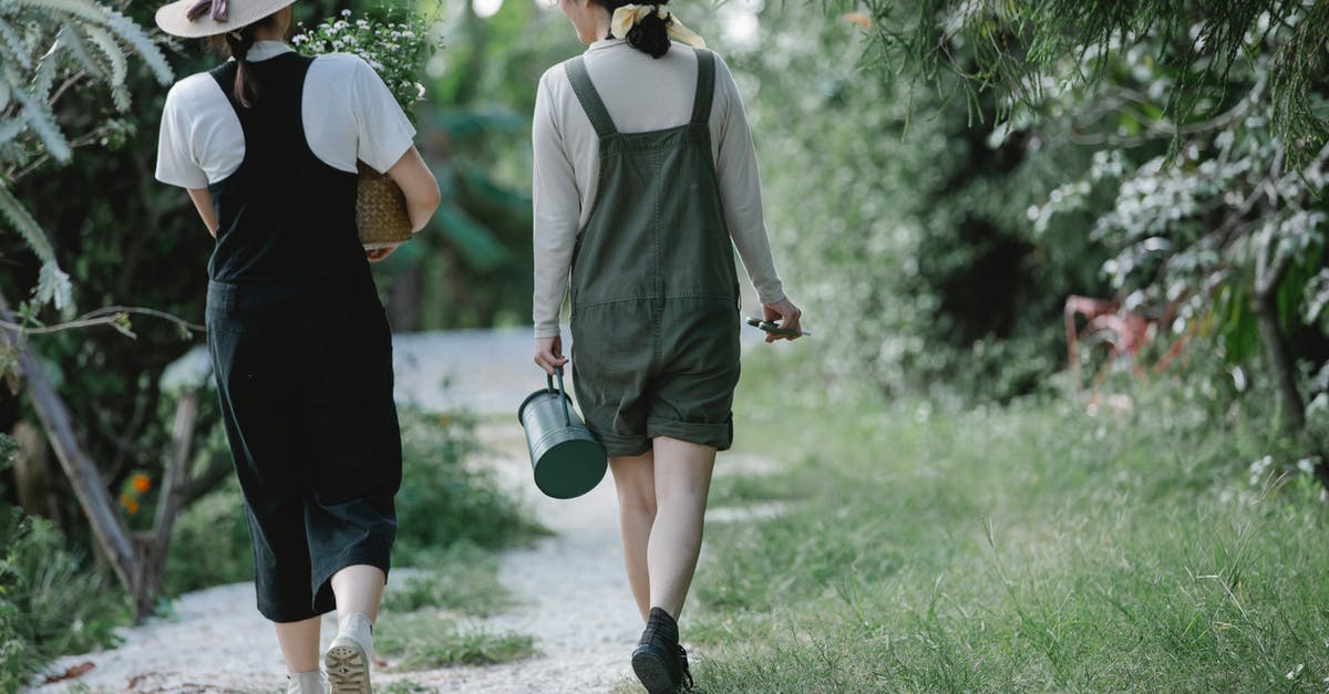 Can I carry a non-mercury thermometer on plane? - Back view full body of anonymous female colleagues walking among plants in garden