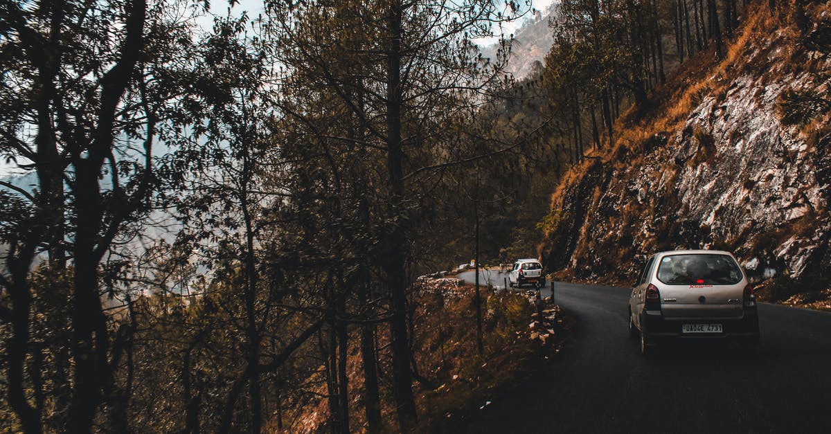 Can I carry someone else's driving extracts from India to Canada? - White Cars on Road Near A Cliff